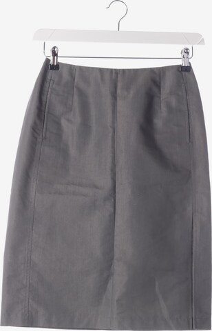 STRENESSE BLUE Skirt in S in Grey: front