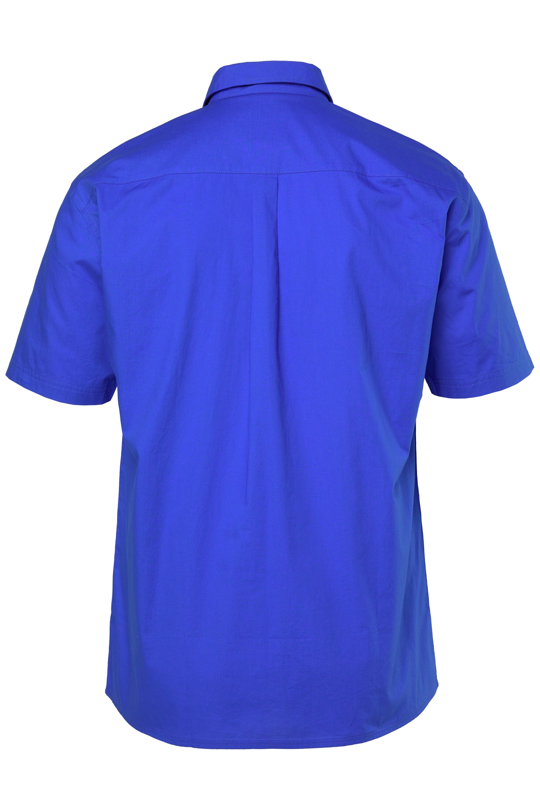 Men Plus Regular Fit Hemd in Blau