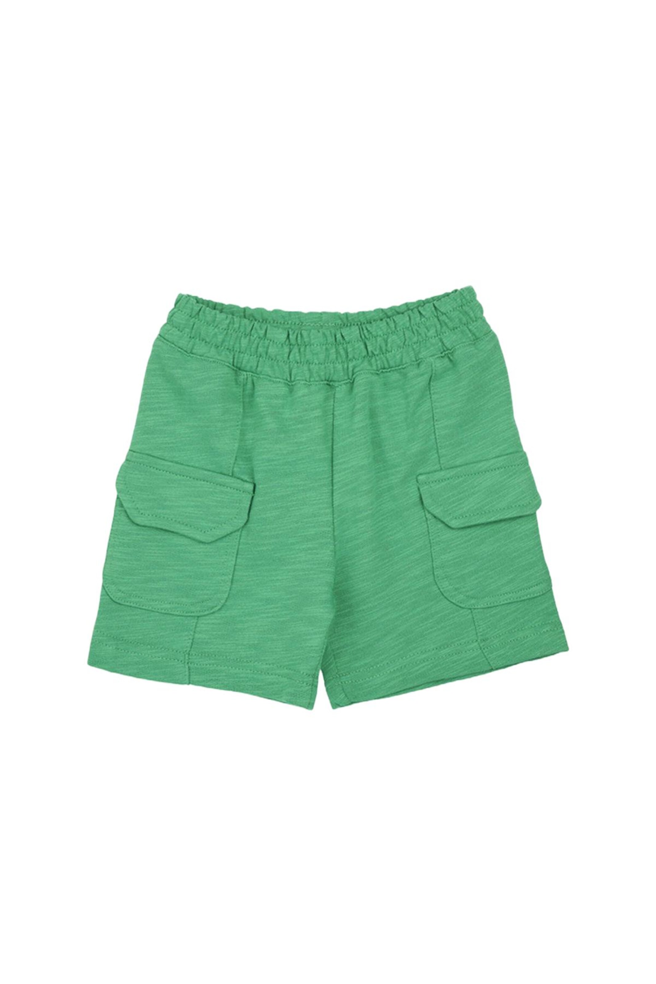 Panço Regular Trousers in Green: front