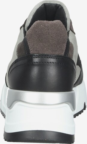 BULLBOXER Sneaker in Grau