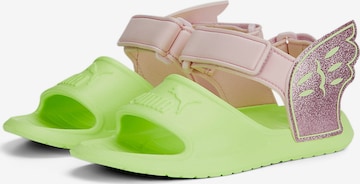 PUMA Sandals 'Divecat V2' in Green