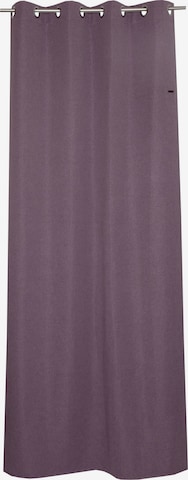 ESPRIT Curtains & Drapes in Purple: front