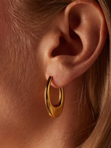 Lucardi Earrings in Gold: front