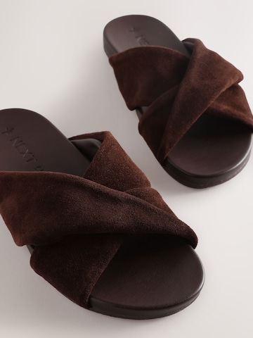 Next Mule in Brown