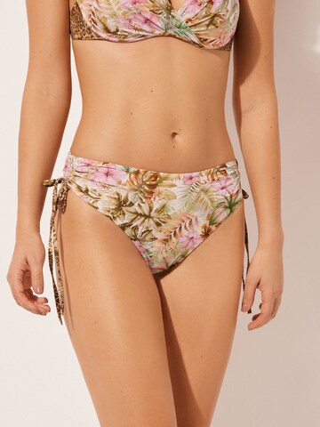CALZEDONIA WILD TROPICS in Mischfarben