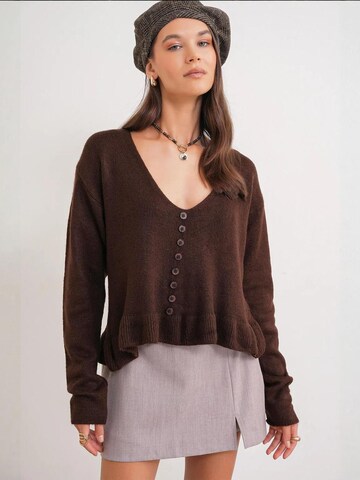 MixRay Pullover 'Pullover'‌‌‌‌ in Braun: Vorderseite