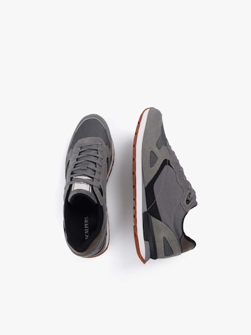 Scalpers Низкие кроссовки в Серый