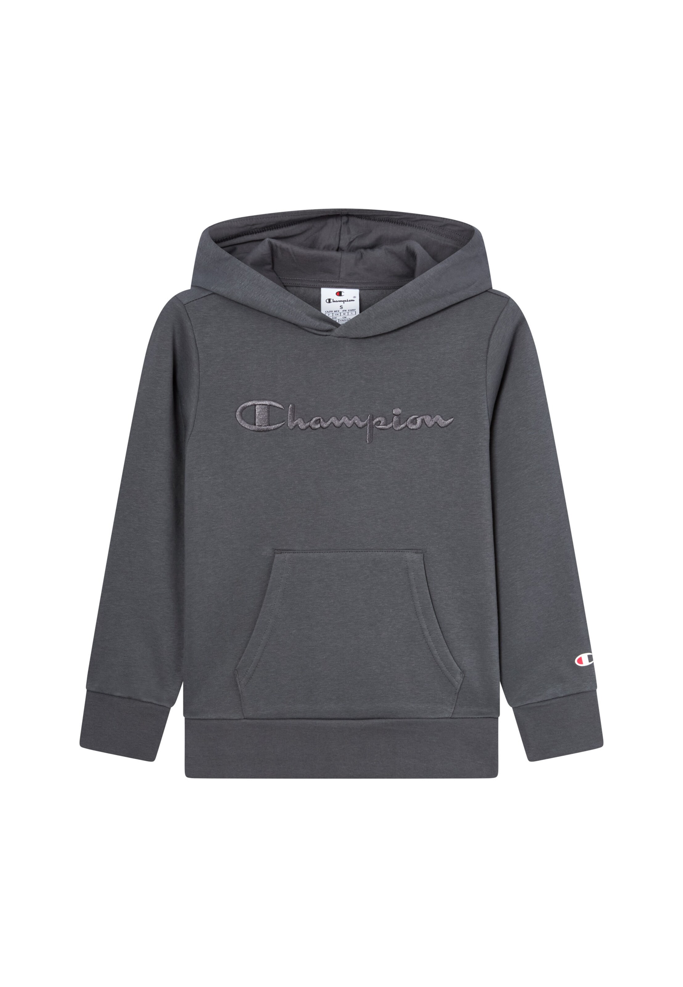 Champion Authentic Athletic Apparel Sweatshirt in Grey: front