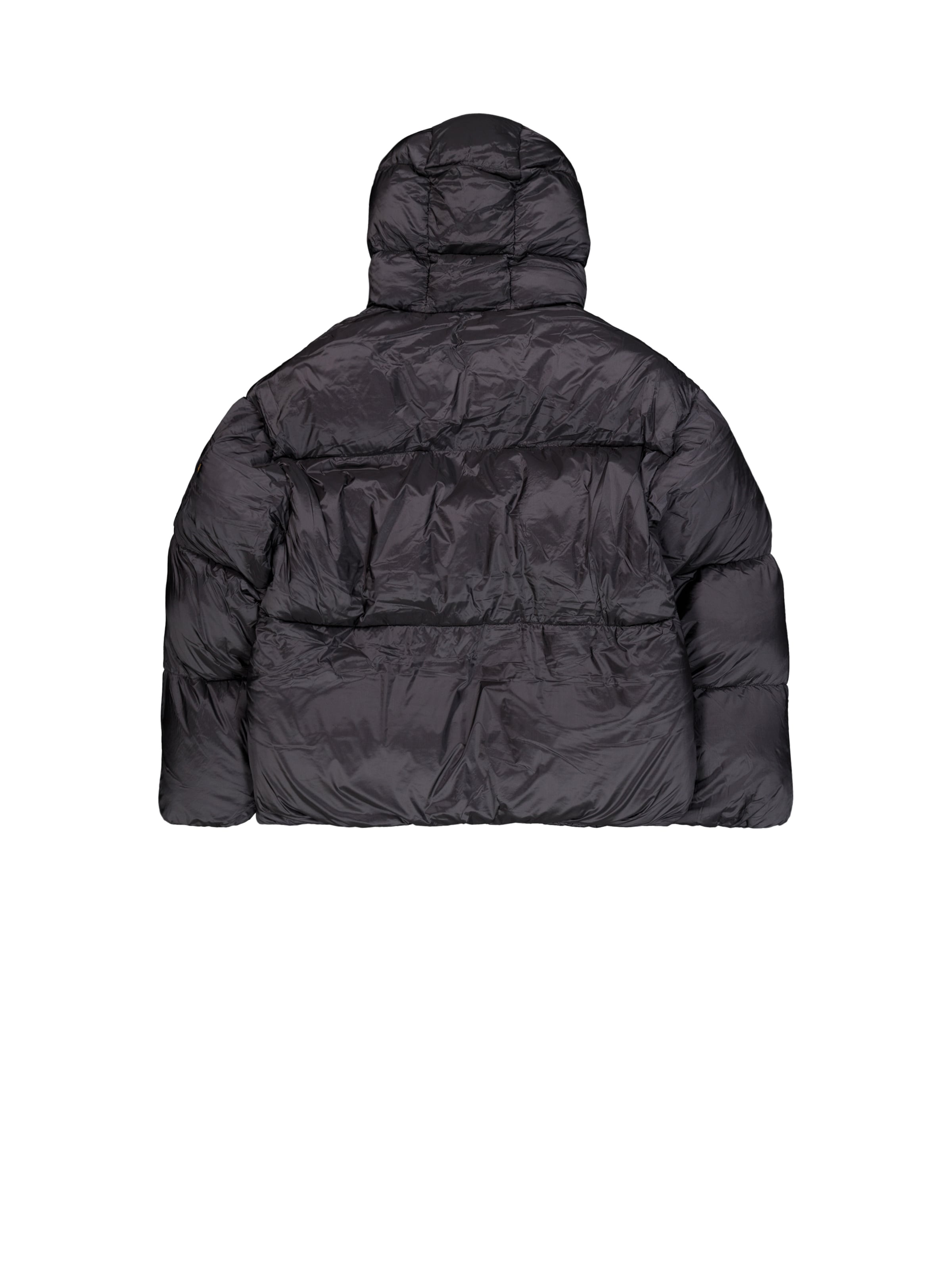 ALPHA INDUSTRIES Χειμερινό μπουφάν σε γκρι