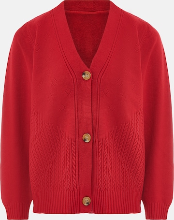 ZITHA Knit Cardigan in Red: front