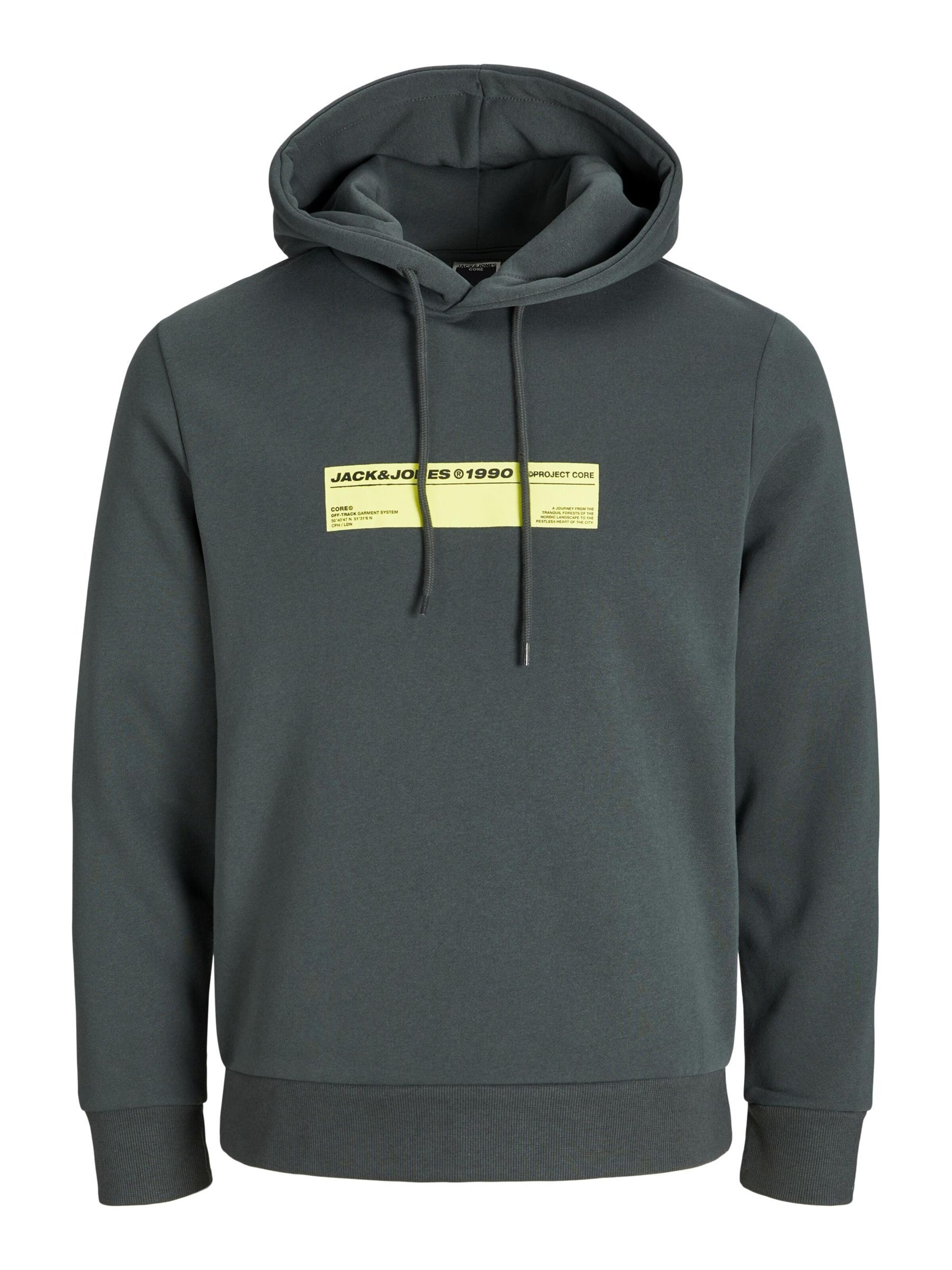 Jack & Jones Junior Sweatshirt i grå: forside