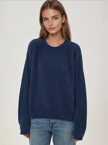 Pullover di Hiccup in blu: frontale