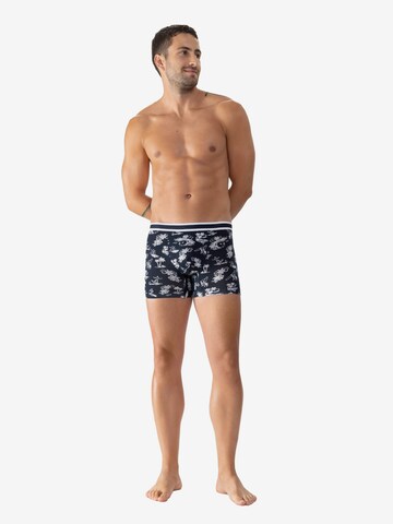 Mey Boxershorts 'Surf Beach' in Blau