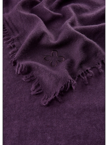 CODELLO Schal in Lila