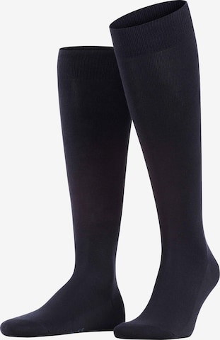 FALKE Knee High Socks 'Family' in Blue: front