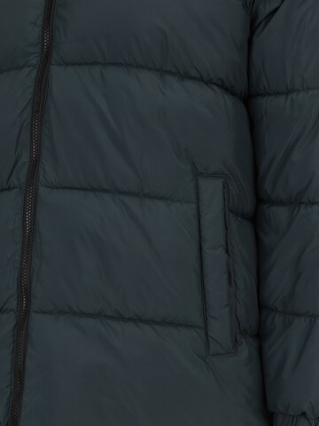 Jack & Jones Plus Winterjas in Groen