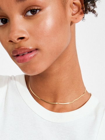 zelts Pilgrim Ķēdīte 'Nikita'