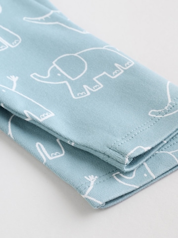 Next Beebibodi, värv sinine