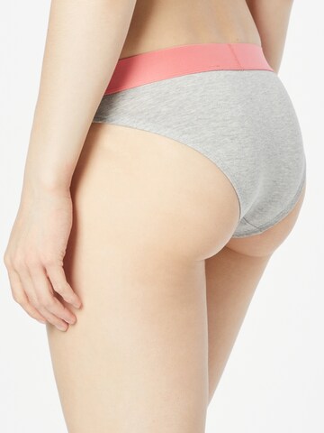 Superdry Panty in Grey