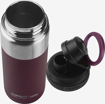 ASOBU Thermos 'Alpine Flask' in Mixed colors