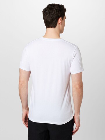 HOLLISTER Bluser & t-shirts i blandingsfarvet