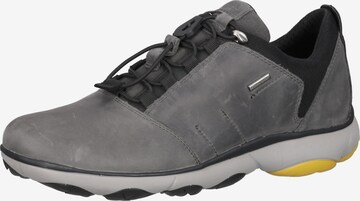 GEOX Sneaker in Grau: predná strana