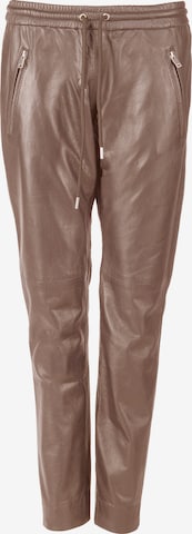 JCC Trousers '3102153' in Brown: front
