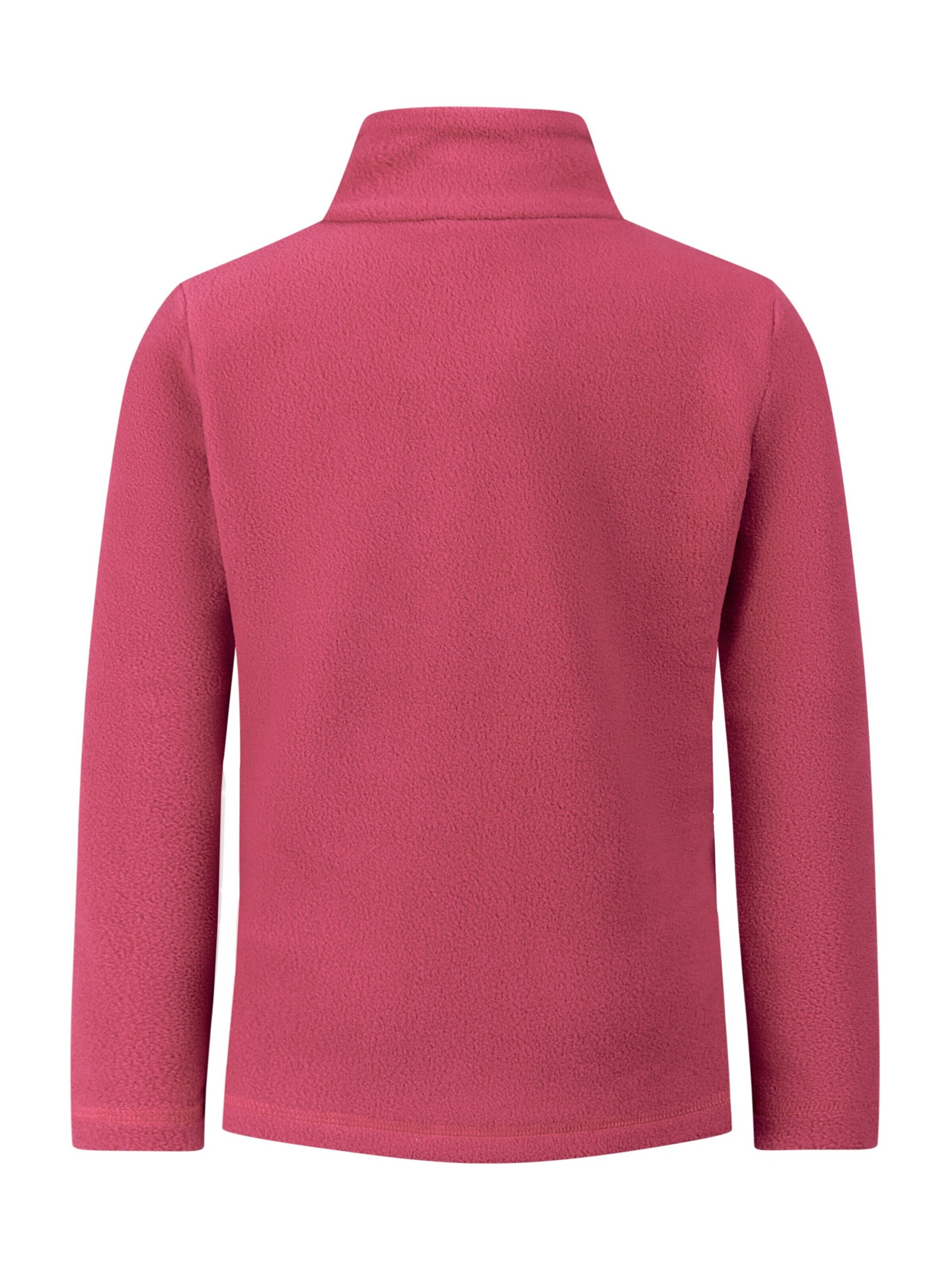 PROTEST Sports sweatshirt 'PRTRemutey TD' in Purple