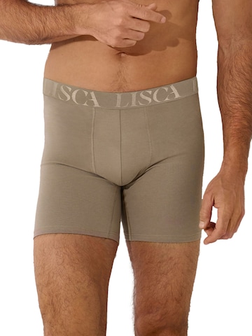 Lisca Boxer shorts 'Odysseus' in Grey