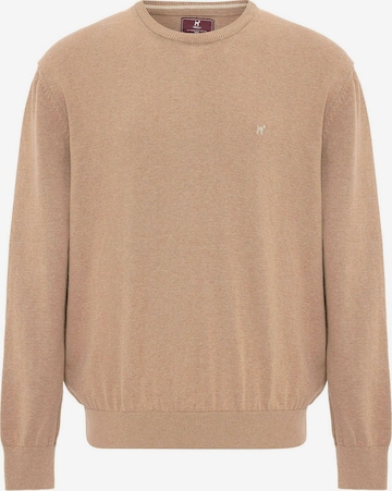 ruda Williot Megztinis: priekis