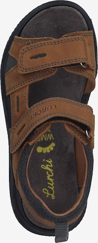 LURCHI Sandals & Slippers in Brown