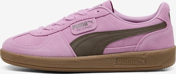 PUMA - Sapatilhas baixas 'Palermo' em rosa: frente