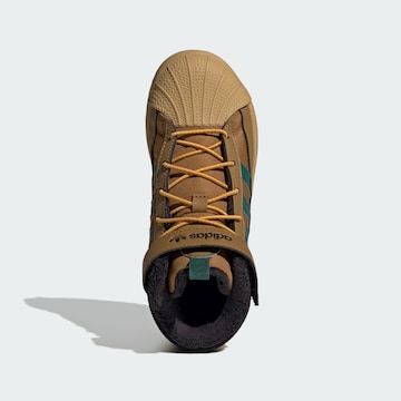 Bottes de neige 'Superstar' ADIDAS ORIGINALS en marron