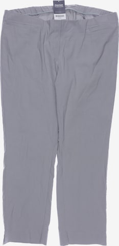 STEHMANN Pants in 4XL in Grey: front
