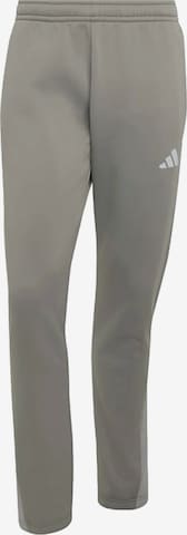 regular Pantaloni sportivi di ADIDAS PERFORMANCE in grigio: frontale