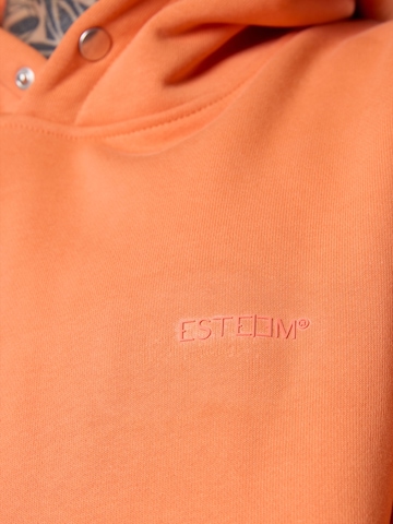 ESTEEM Sweatshirt 'Essential' in Orange