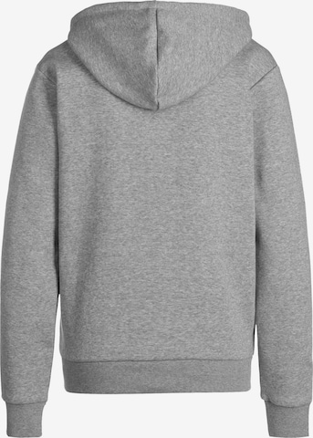 ADIDAS SPORTSWEAR Athletic Zip-Up Hoodie 'Essentials' in Grey