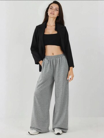 Loosefit Pantalon Hiccup en gris