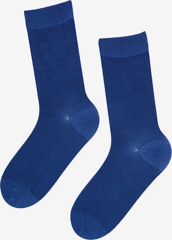 Sokisahtel Socks ''JANNE'' in Blue: front