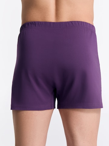 Albero Natur Boxershorts in Lila