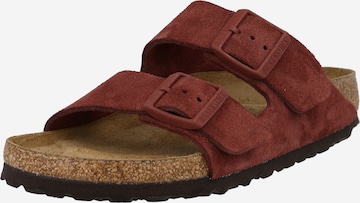 BIRKENSTOCK Muiltjes 'Arizona' in Bruin: voorkant