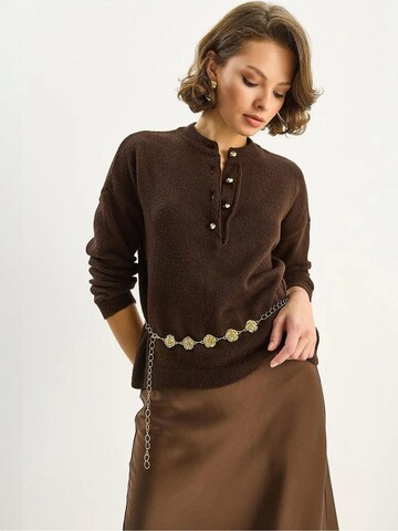 Pull-over Bianco Lucci en marron : devant