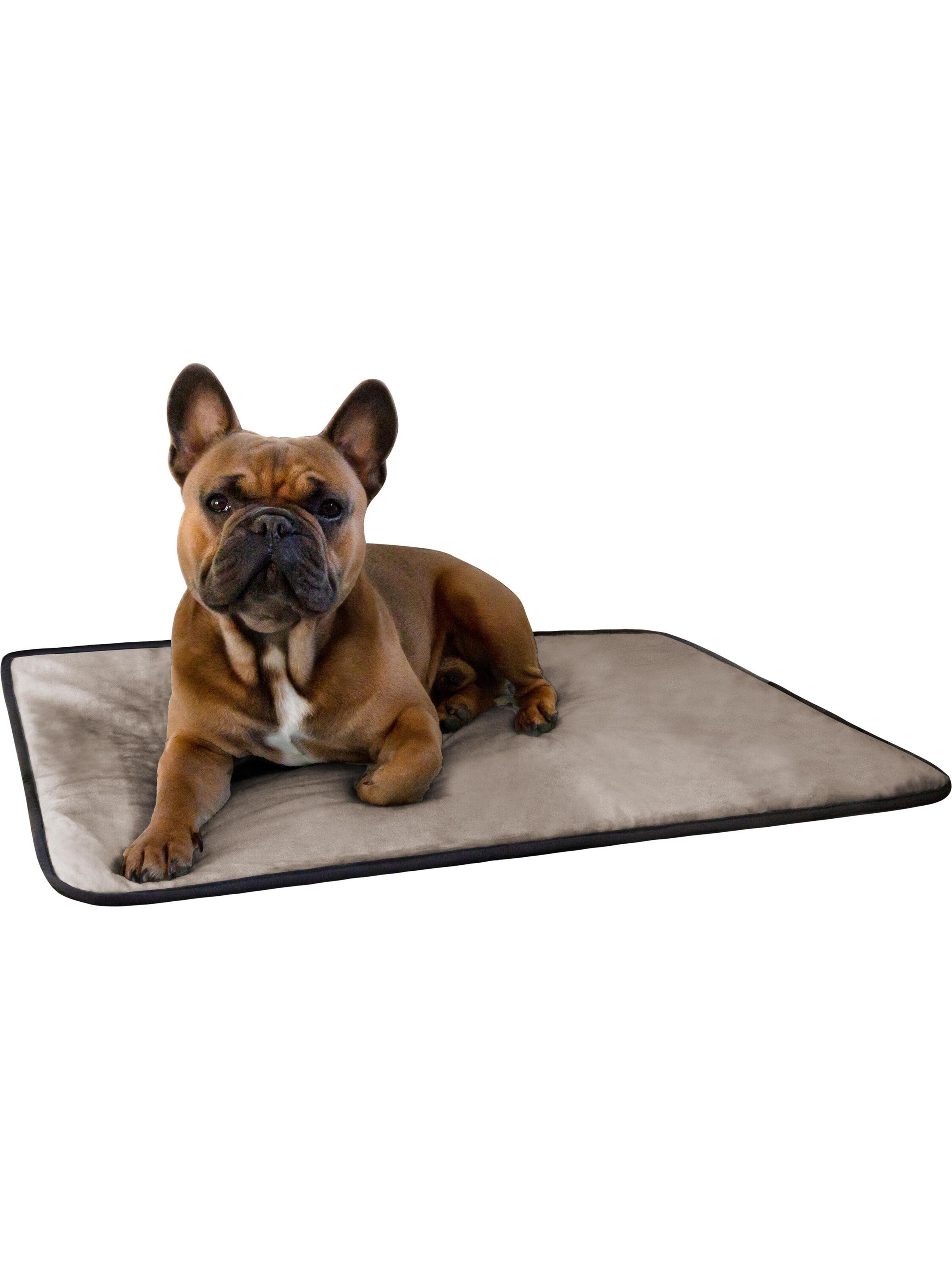 Aspero Hundedecke 'Lund' in Beige