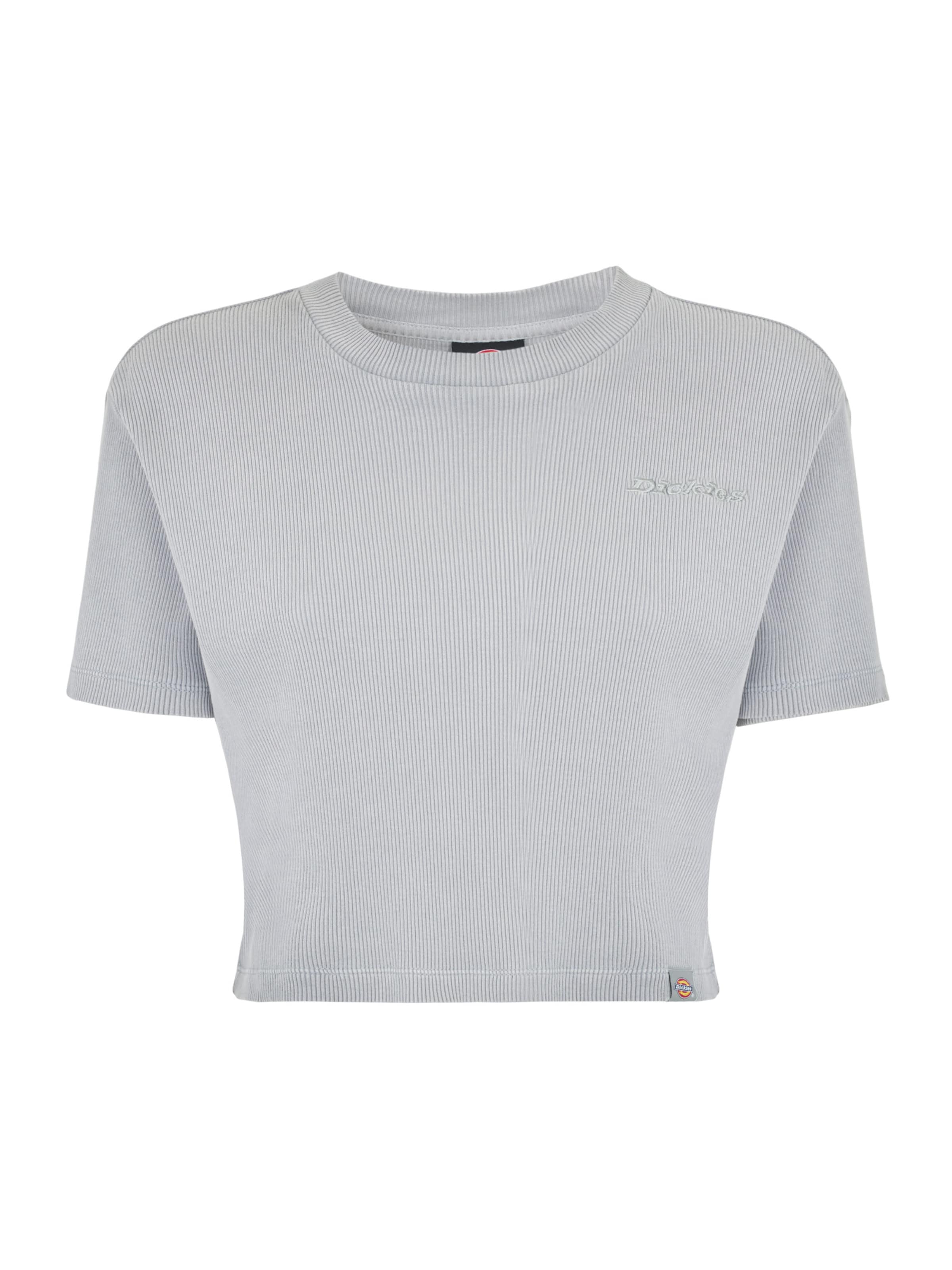 DICKIES Shirt 'PLENTYWOOD TEE SS W' in Grau: Vorderseite