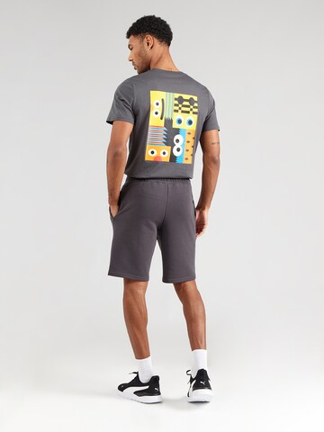 PUMA Normální Sportovní kalhoty 'BVB x Sesame Street' – šedá