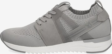 Sneaker bassa di CAPRICE in grigio
