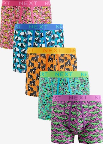 Boxer di Next in blu: frontale