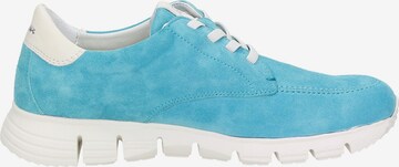 SIOUX Lace-Up Shoes in Blue