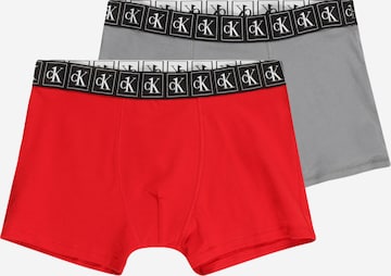 Calvin Klein Underwear Underpants in Grey: front