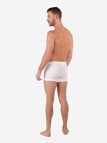 Boxers ' Supreme Cotton ' HOM en blanc